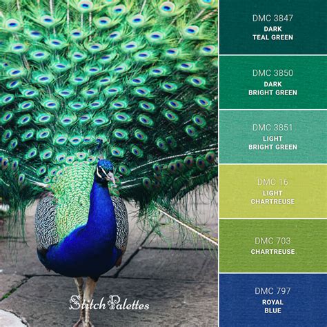 Peacock Pride - Embroidery Color Palette (With Thread Codes)