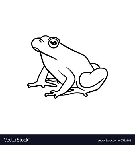 Frog line art drawing Royalty Free Vector Image