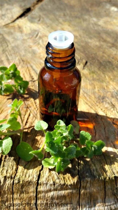 Marjoram Essential Oil - What It Is & Ways To Use It - Reuse Grow Enjoy