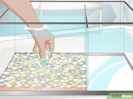 3 Ways to Care for African Clawed or Dwarf Frogs - wikiHow Pet