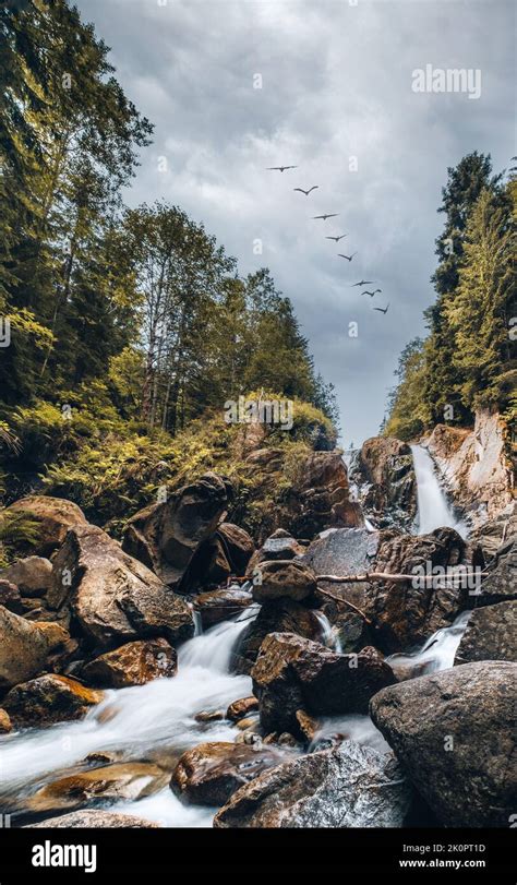 Tranquil waterfalls along Retezat mountain river.Carpathian mountains in summer and beautiful ...