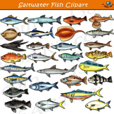 Saltwater Fish Clipart Archives - Clipart 4 School