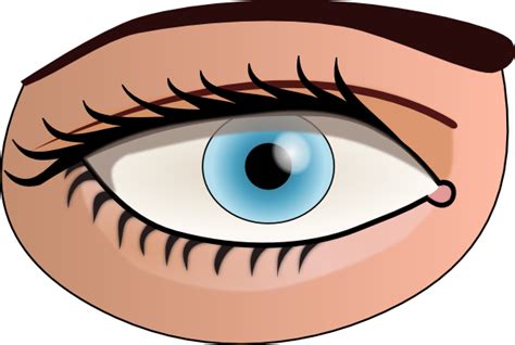 Free Clip Art Eyes, Download Free Clip Art Eyes png images, Free ClipArts on Clipart Library