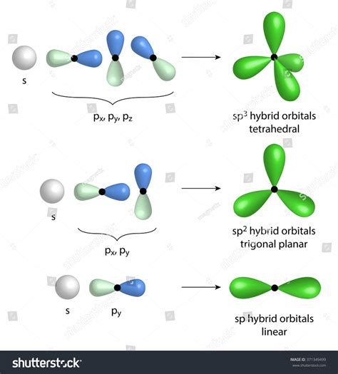 Formation Geometry Hybrid Orbitals Sp3 Sp2 Stock Illustration 371349499 | Shutterstock