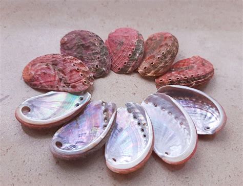 Abalone Shell Meanings, Properties, and Uses - CrystalStones.com