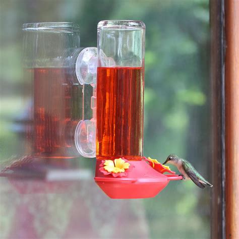 Window Bird Feeders Pics