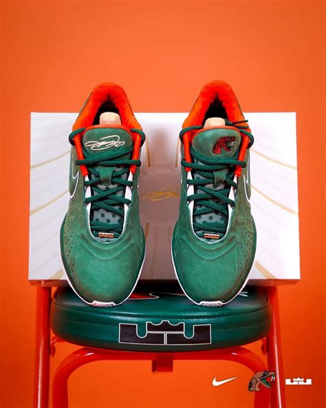 Nike LeBron 21 FAMU PE