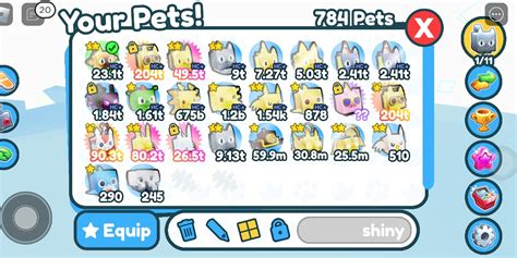 pet simulator x shiny pets, Video Gaming, Gaming Accessories, In-Game ...