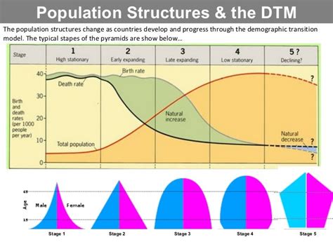 Population Dynamics - Revision Cards in GCSE Geography