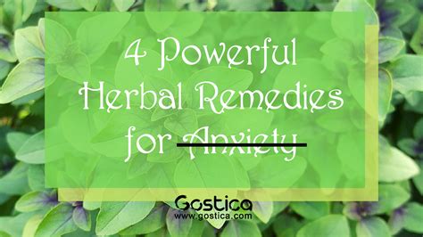 4 Herbal Remedies for Anxiety That Actually Work – GOSTICA