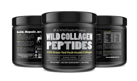 Wild Collagen Peptides Protein powder | Gut-Friendly, Non-GMO, Dairy-Free Protein Powder — Wild ...