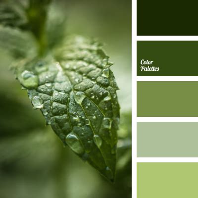 apple green color | Color Palette Ideas