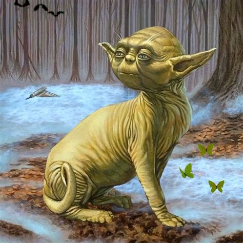 Cat Yoda [Video] | Star wars art, Cat art, Cat artwork