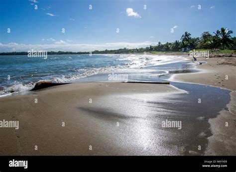 Playa Dorada beach in the Dominican Republic Stock Photo - Alamy