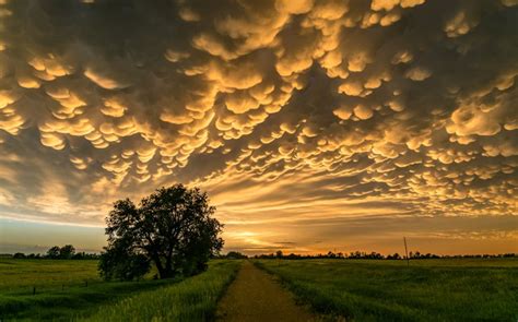 Mammatus Clouds: Everything You Need to Know