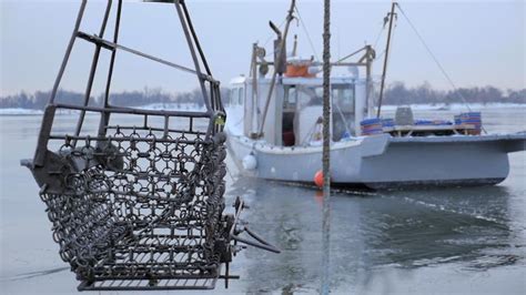 The Family Keeping Oyster Farming Alive In Connecticut