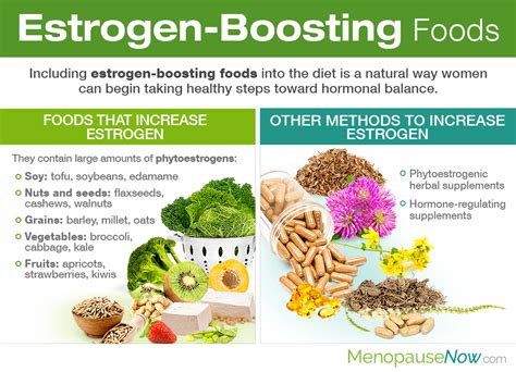 Estrogen-Boosting Foods | Menopause Now