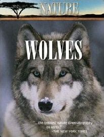 In the Valley of the Wolves - Top Documentary Films