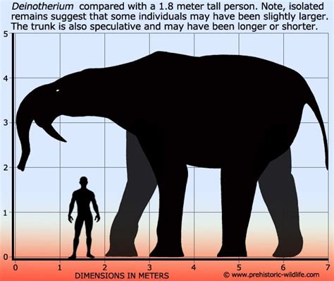 Deinotherium size comparison. | Prehistoric wildlife, Extinct animals ...