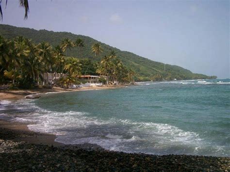 Patillas, PR Puerto Rico Pictures, Coastline, Island, Water, Best, Outdoor, Beautiful, Sideburns ...