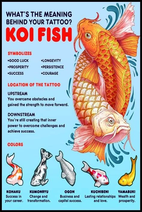 Koi Fish Tattoo Meaning | Koi fish tattoo meaning, Koi fish tattoo, Japanese koi fish tattoo