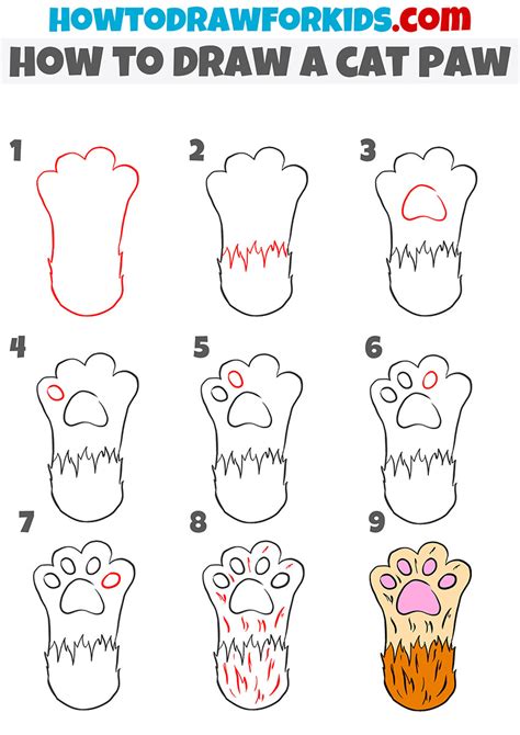 How to Draw a Cat Paw - Easy Drawing Tutorial For Kids