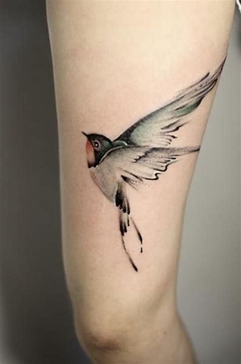 Pin by pam gish on Tatoos | Swallow bird tattoos, Swallow tattoo design, Body art tattoos