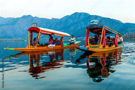 Shikara boat Dal lake, Srinagar, Jammu and Kashmir, India Stock Photo ...