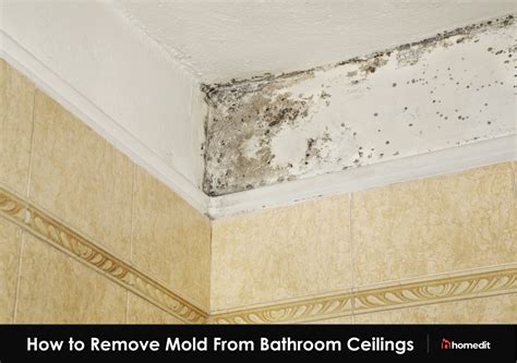 Paint Flaking Off Ceiling Bathroom | Cabinets Matttroy