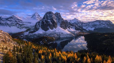 Montañas con nieve en el bosque Fondo de pantalla 4k HD ID:3934