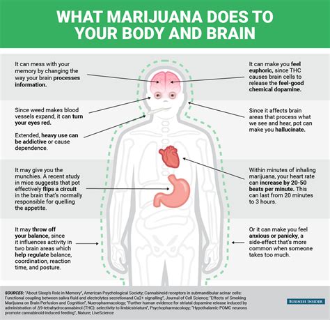 Physical and mental effects of marijuana - Business Insider