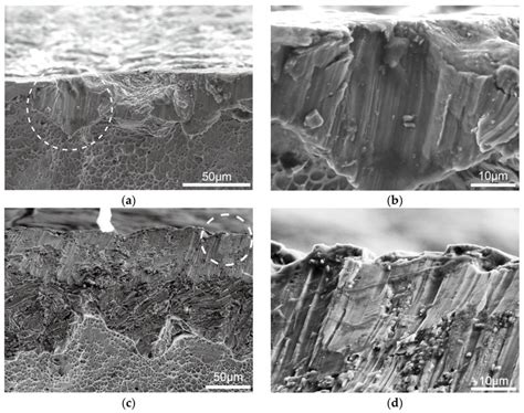 Brittle fracture area morphology of the coated sample. (a) Brittle ...