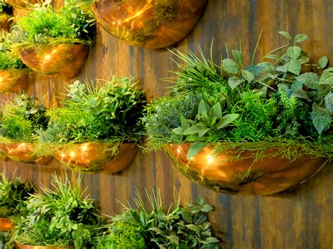 How to Create a Living Wall Herb Garden Inside Your Home - Food Gardening Network