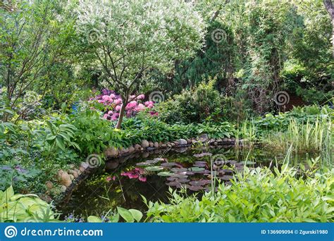 Decorative Trees. Shrubs and Flowers in the Garden with Pond Stock Photo - Image of house ...