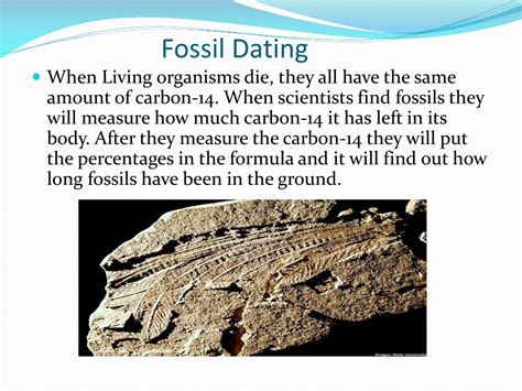 PPT - Carbon Dating PowerPoint Presentation, free download - ID:5849821