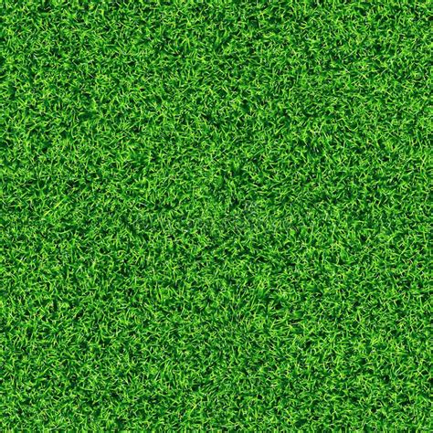 Seamless Grass Texture | Grass texture, Seamless grass texture, Grass