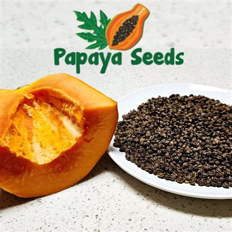 50 Papaya Seeds FREE 15 More Seeds, Proven Sweet, Healthy, Carica, Papaya Smoothie, Discover the ...