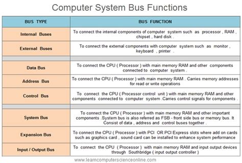 Types Of Computer Buses And Their Functions - Printable Templates Free