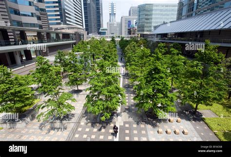 Modern urban landscaping in small park situated between lines of Stock ...