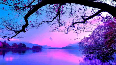 Blue And Purple Sunset - 2560x1440 Wallpaper - teahub.io