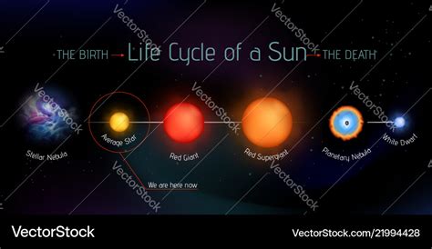 Our Sun Life Cycle