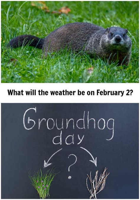 Groundhog Day 2020 - Fun Facts - Folklore and Weather Prediction