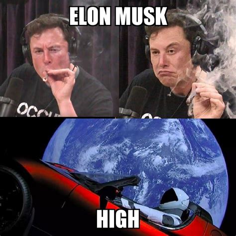 Elon Musk High : r/memes