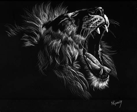 Roaring Lion Drawing by Norma Rowley - Pixels