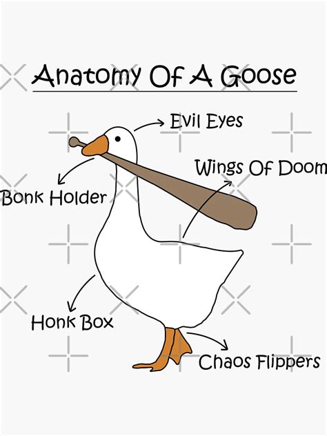 "Anatomy Of A Goose Meme - funny goose with bonk meme" Sticker for Sale by TheOneStyleBro ...