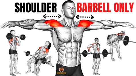 14 BEST SHOULDER WORKOUT WITH BARBELL ONLY AT HOME OR AT GYM / Musculation épaules - YouTube