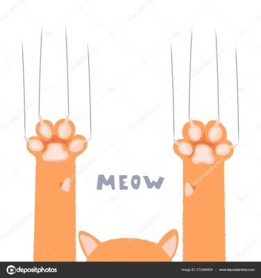 Cat Paw Wallpaper Hd - 1600x1700 Wallpaper - teahub.io