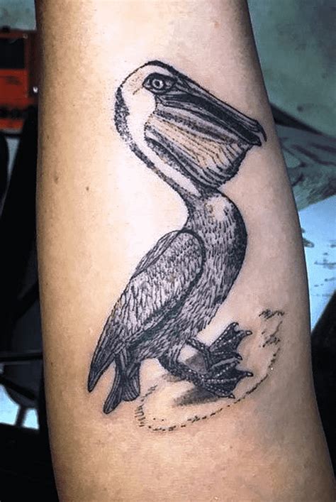 Pelican Tattoo Design Images (Pelican Ink Design Ideas) Pelican Tattoo, Cartoon Tattoos, Birds ...