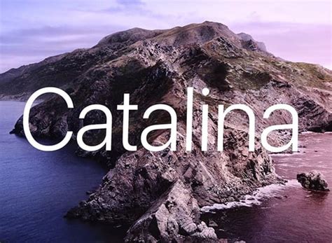 A Complete List of macOS 10.5 Catalina Compatible Macs