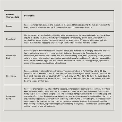 Top 5 Raccoon Behavior Characteristics - Habitat, Diet, Social Behavior - YIHY